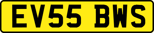 EV55BWS