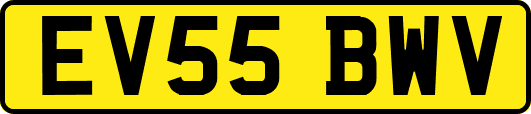 EV55BWV