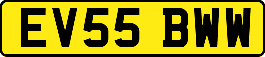 EV55BWW