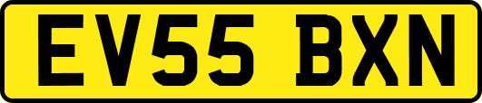 EV55BXN