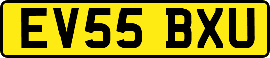 EV55BXU