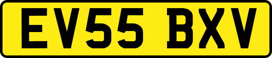 EV55BXV