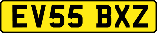 EV55BXZ