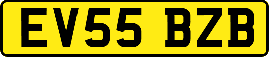 EV55BZB