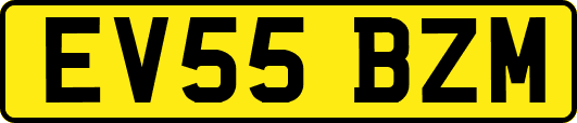 EV55BZM