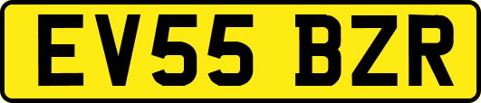 EV55BZR