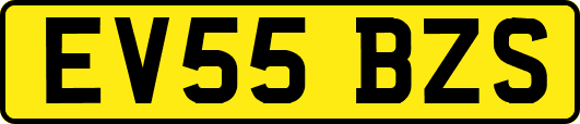 EV55BZS