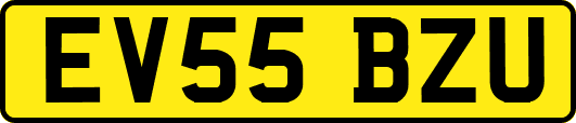 EV55BZU