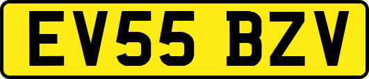 EV55BZV