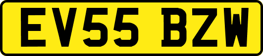 EV55BZW