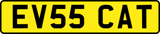 EV55CAT