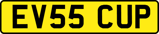 EV55CUP