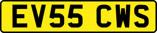 EV55CWS
