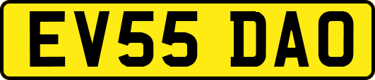 EV55DAO