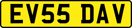 EV55DAV