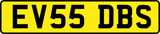 EV55DBS