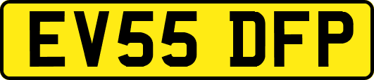 EV55DFP