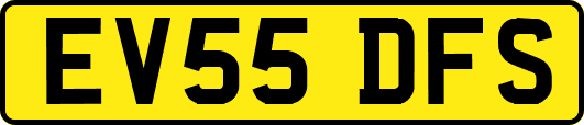 EV55DFS