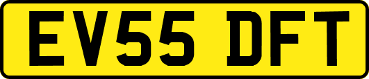 EV55DFT