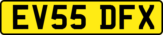 EV55DFX