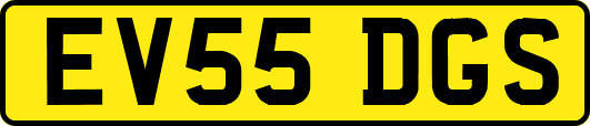 EV55DGS