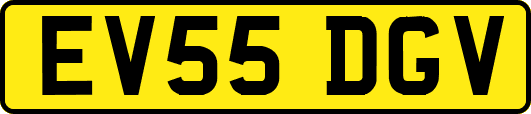 EV55DGV