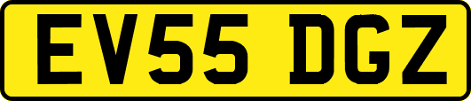 EV55DGZ