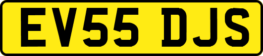 EV55DJS