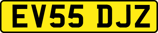 EV55DJZ