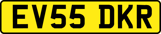 EV55DKR