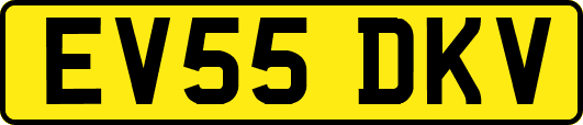 EV55DKV