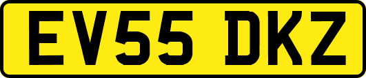 EV55DKZ