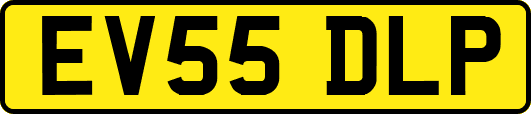 EV55DLP