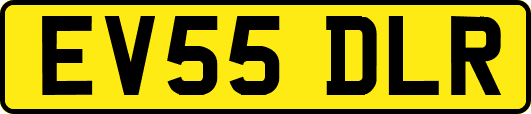 EV55DLR