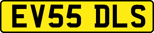 EV55DLS