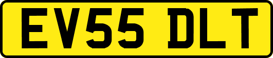EV55DLT