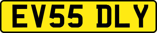 EV55DLY