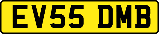 EV55DMB