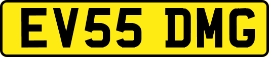 EV55DMG