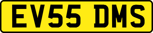 EV55DMS