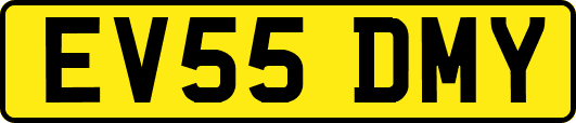 EV55DMY