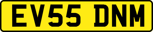 EV55DNM