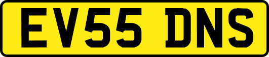 EV55DNS