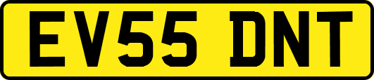 EV55DNT