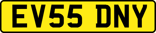 EV55DNY