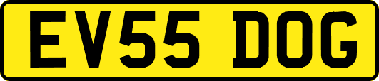 EV55DOG