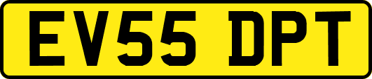 EV55DPT