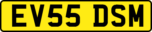 EV55DSM