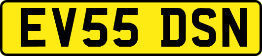 EV55DSN
