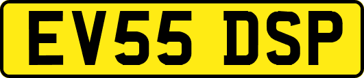 EV55DSP